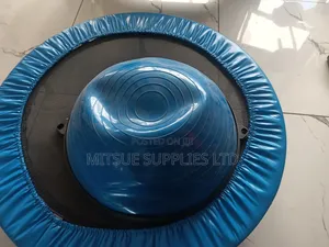 Bosu Ball - Blue Ball With Black Abs Base