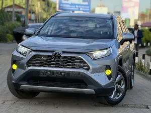 Toyota RAV4 LE AWD 2019 Silver