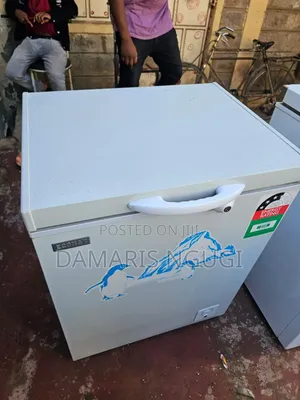 Ecomax Deep Freezer