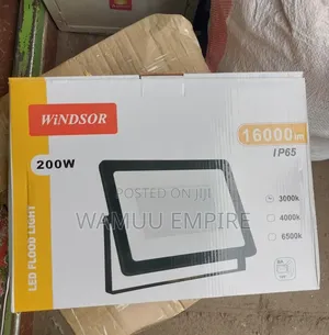 Windsor 200w Warmflood Light