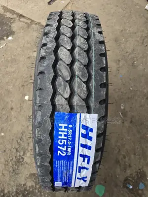 9.5 R17. 5 Hifly Tyres (Hh 572)