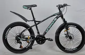 Quality MTB - Unirox Size 24 for Age 13+ Years