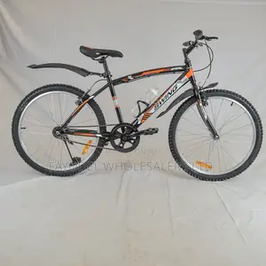 Generic Swing 24” Mountain Bike – Durable Teen Bike