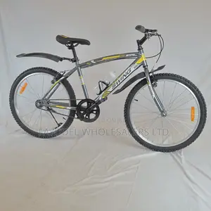 Swing Size 24 Bicycle – Strong Frame Smooth Riding Experience