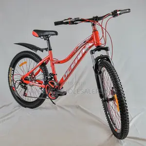 Ocean 24” Mountain Bike – Gear System With Mechanical Disc Brakes