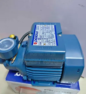 New Pkm60 Pedrollo Water Pump/0.5hp Pedrollo Booster Pump