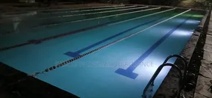 Swim Coaching