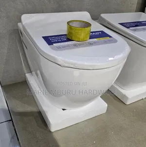 Back to Wall Toilet