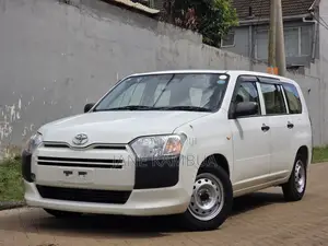 Toyota Probox 1.5 DX 2WD 2019 Pearl