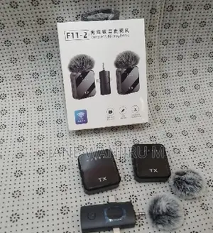 F11-2 Wireless Microphone Kit,