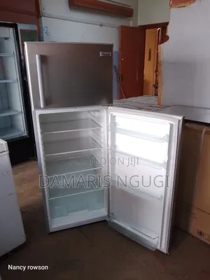 Clean and Smart Ramtons Fridge