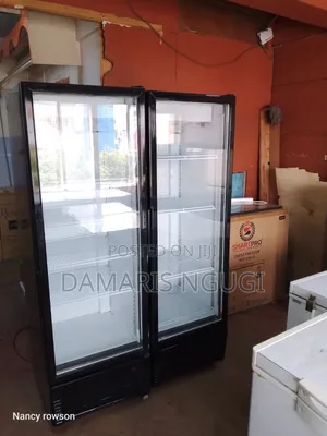 Double Door Display Fridge