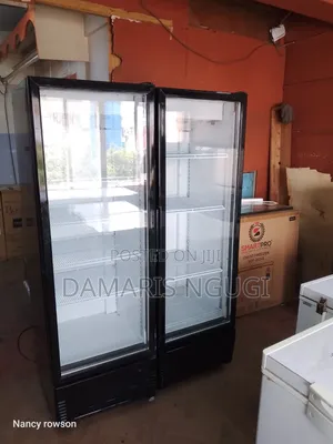 Double Door Display Fridge