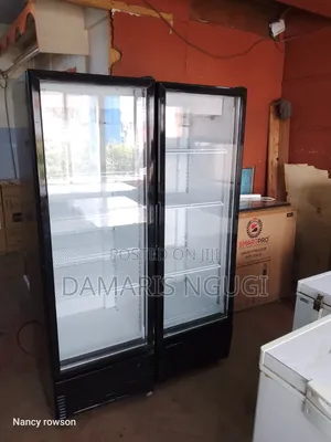 Double Door Display Fridge
