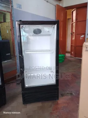 2 Shelves Display Fridge