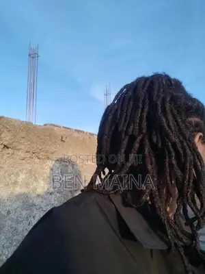 Natural Dreadlocks