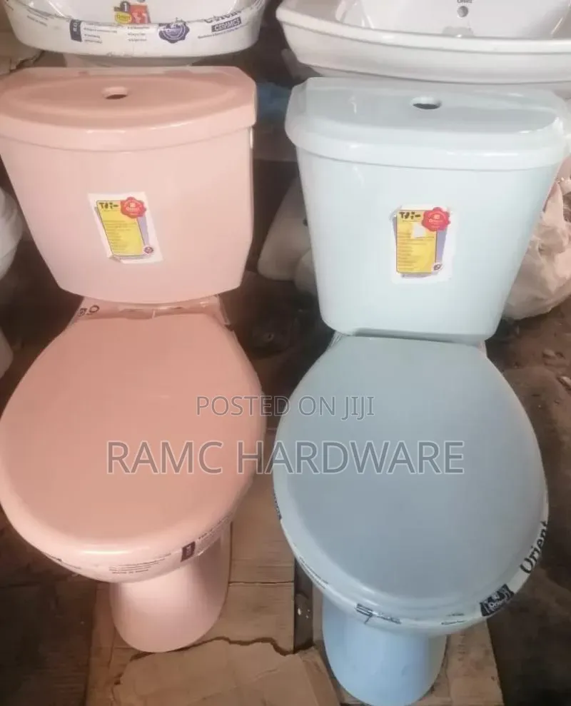 Orient Toilet