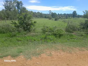 Lands and Property for Sale
