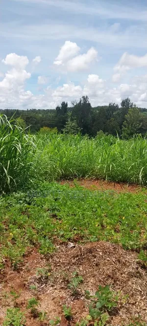 4 Acres on Sale at Makuyu -Mihang'o