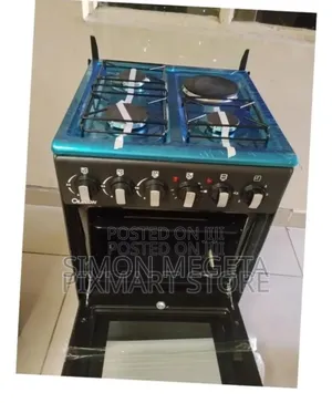 With Electric Oven 50*55 Olelon 3+1 Standing Cooker