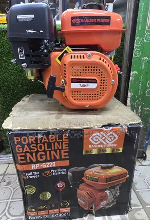 Portable Gasoline Engine 7.5hp