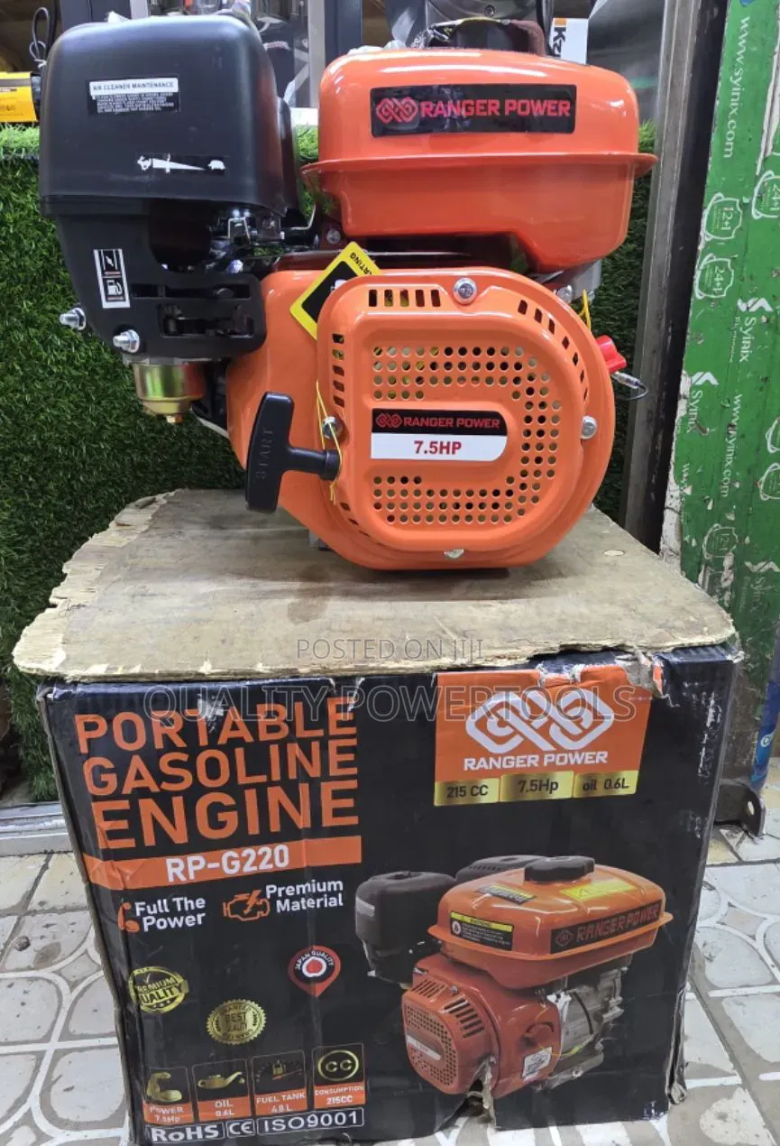 Portable Gasoline Engine 7.5hp