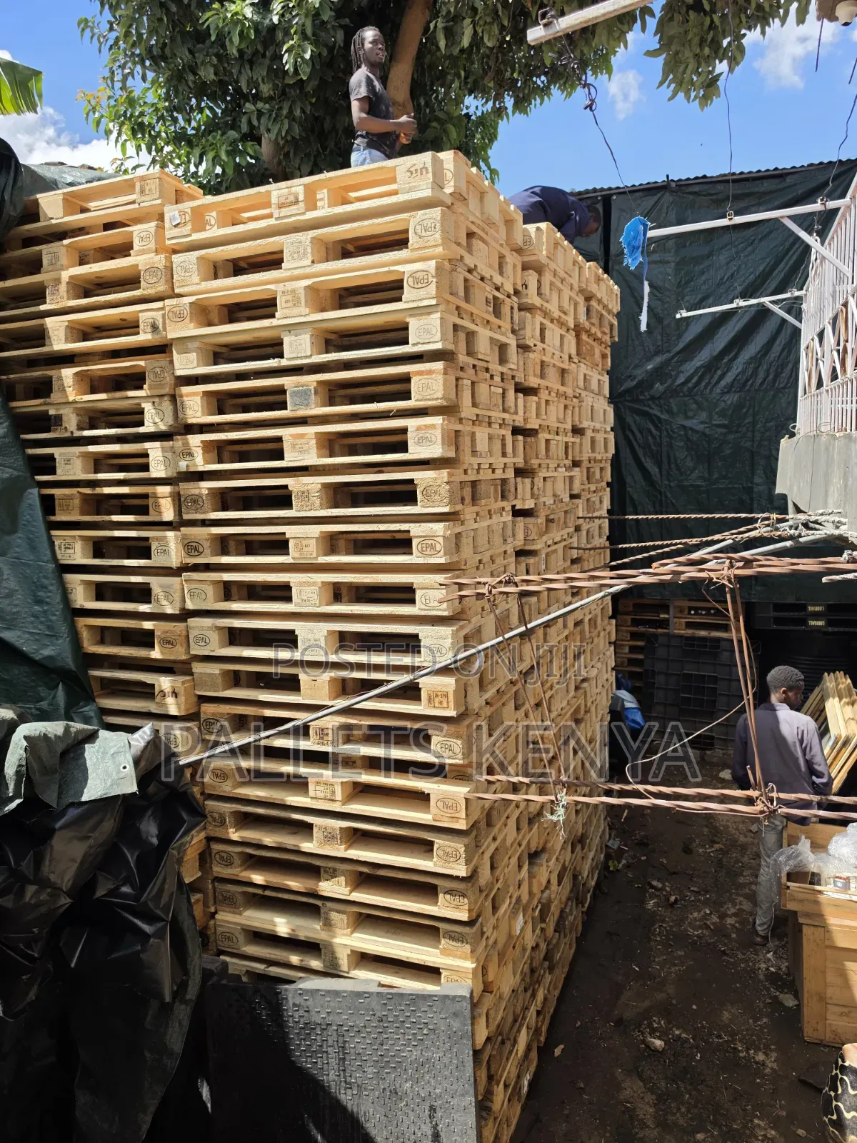 Wooden Pallets Epal -Heavy Duty, Export Quality