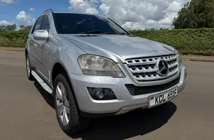 Mercedes-Benz M Class 2010 Silver