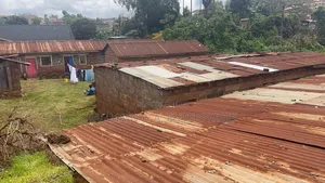 1/4 Hectares (120 by 100) Plot at Banana With Ready Title