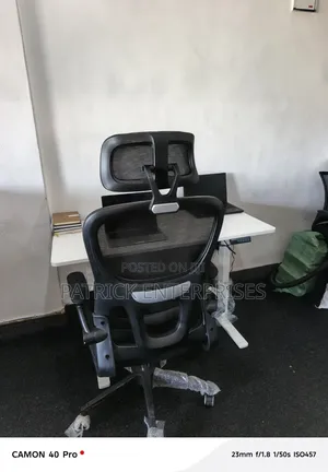 Imported Modern Adjustable Height Electric Desk + Ergonomic DBH Chair