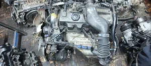 F8 Complete Plug