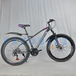 Unirox Bike – Complete With Fenders Kickstand