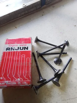 Engine Valve Hyundai J2 1.8 (Anjun Brand)