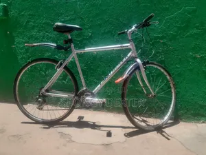 Hybrid Bicycle