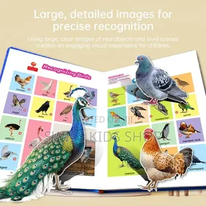 Smart Sound Book