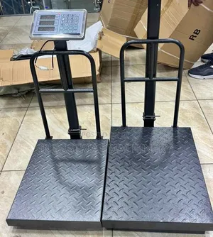 Big Base Weighing Scale 300kgs