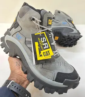 Cat Boots 2 Nd Edition