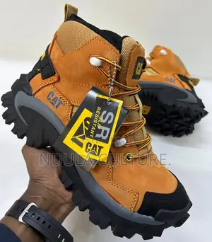 Cat Boots 2 Nd Edition