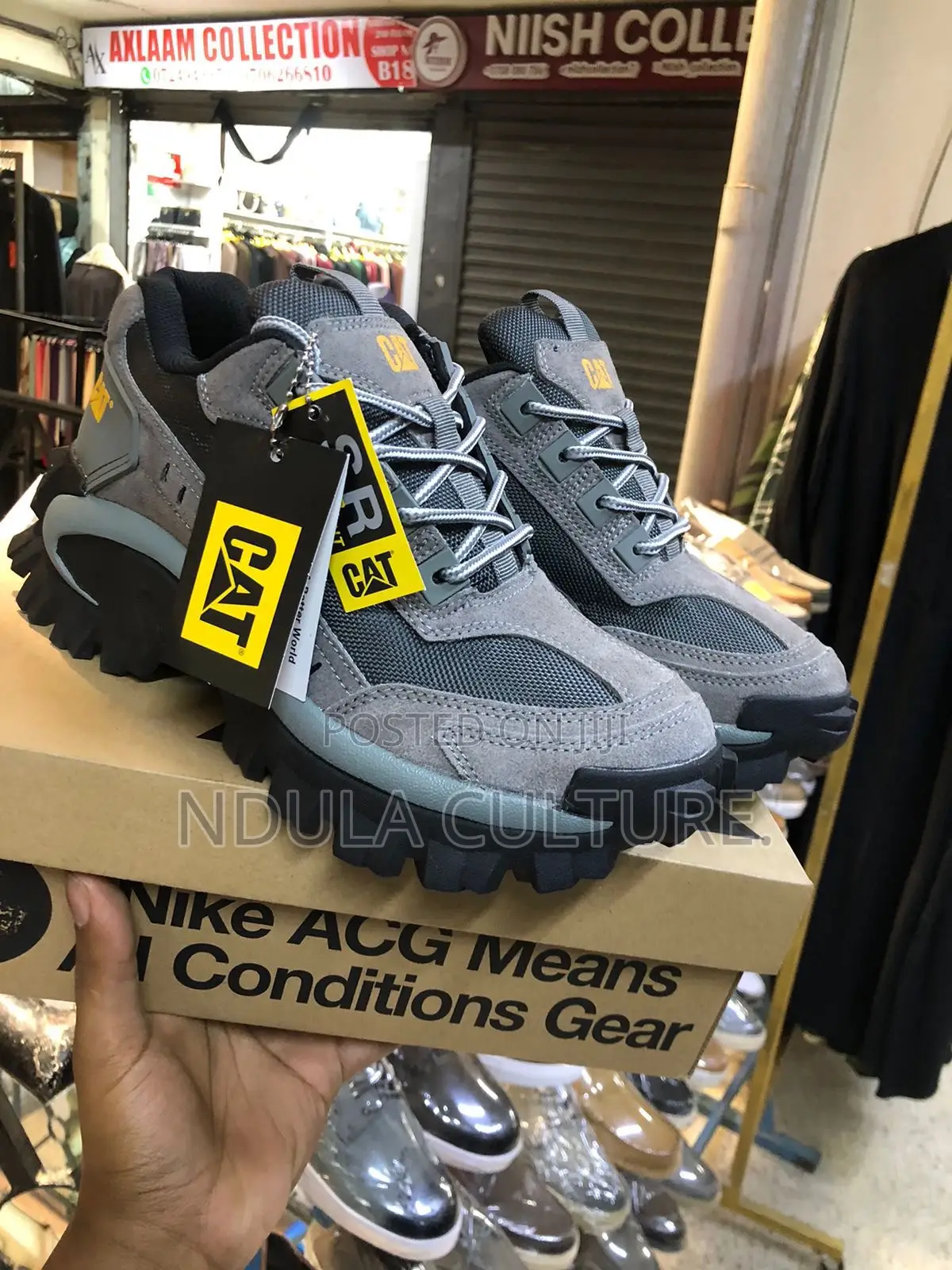 Cat Boots 2 Nd Edition