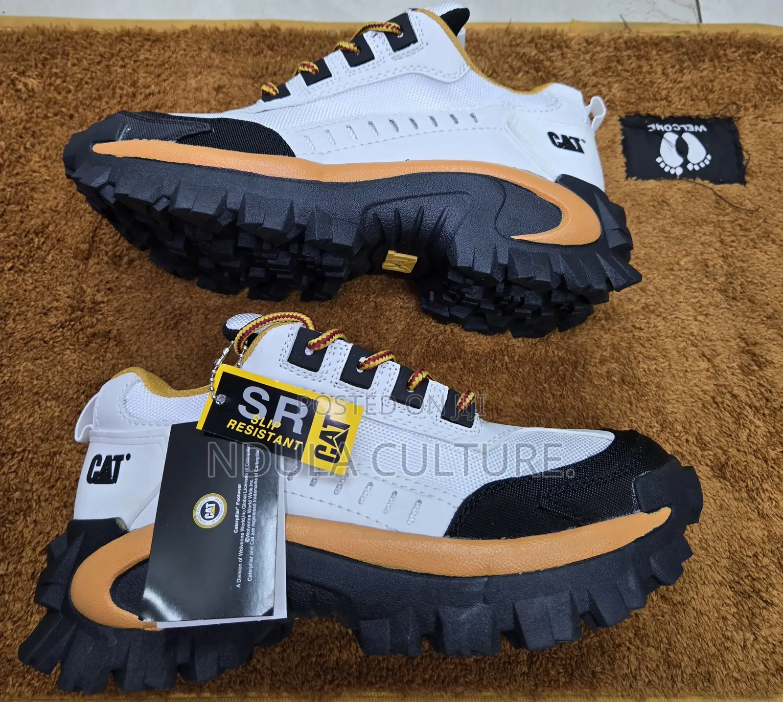 Cat Boots 2 Nd Edition