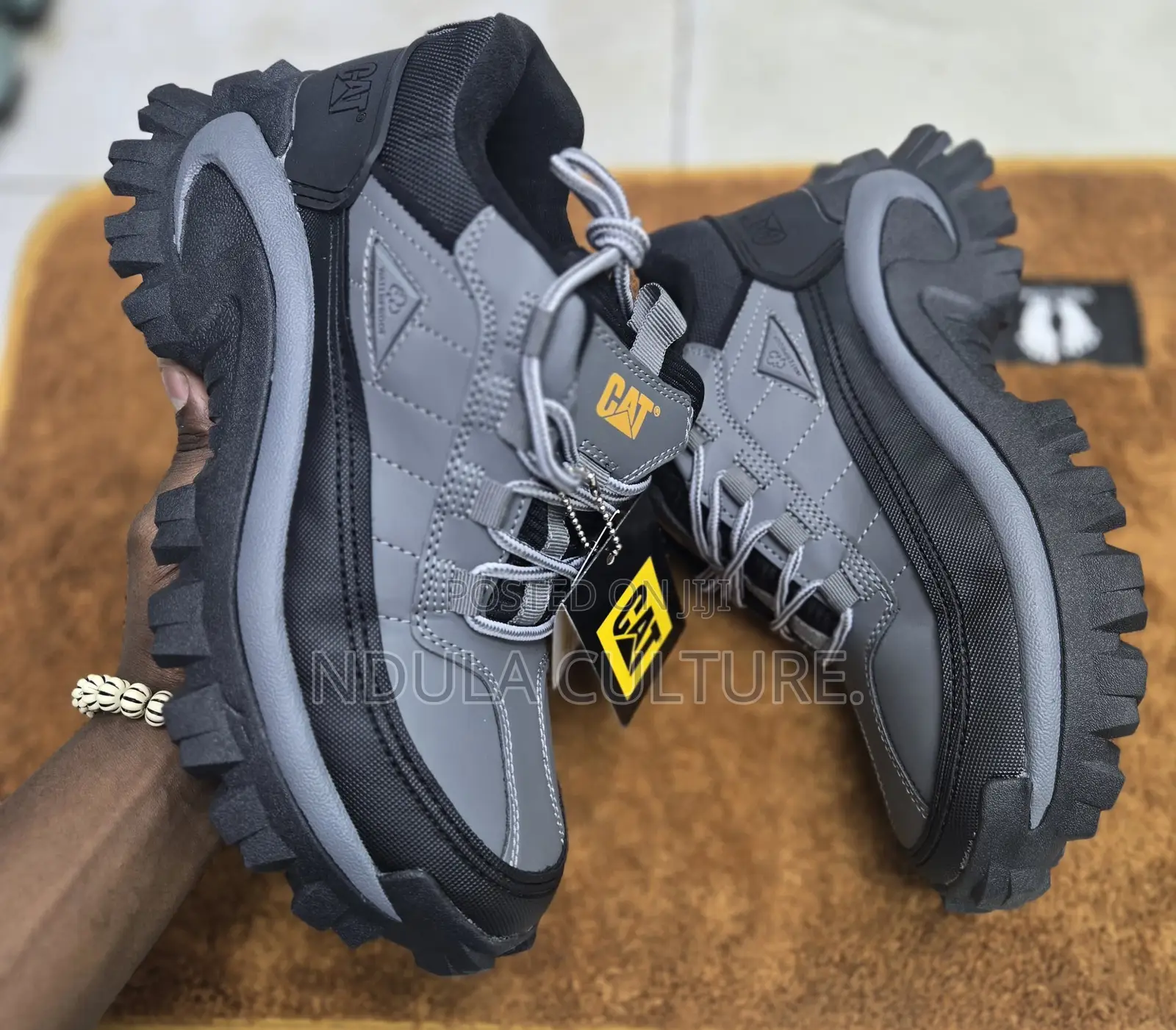 Cat Boots 2 Nd Edition