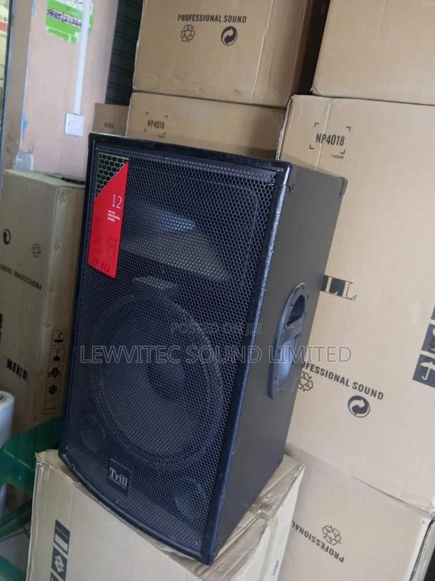 Audio Wooden Speaker