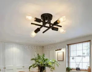 Blackish Modern Sputnik Design Ceiling Light Fixture Fw8