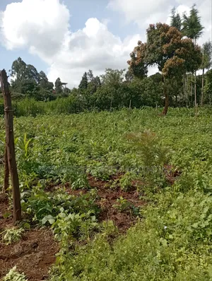 50×100 Plots for Sale at Kwa Mindo, Kikuyu