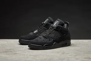 Jordan 4 Black Cats