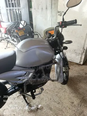Arc Vector 2026 Silver