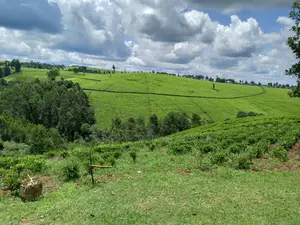 Cianda 4.5 Acres