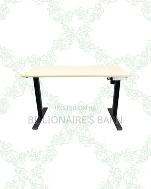 Transform Productivity -Standing Desk Clean Cable-Friendly Workspace