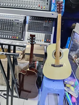 Semi Acoustic Guitar