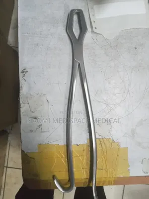 Lane Bone Holding Forceps